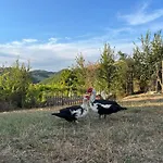 Vakantieboerderij La Valle Dimenticata *