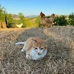 Farma La Valle Dimenticata Urbania