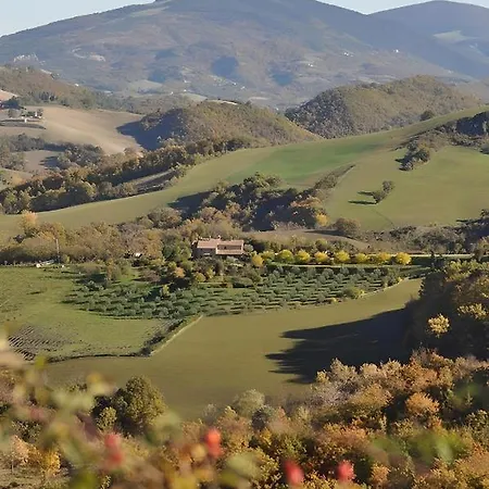 Farm stay La Valle Dimenticata Urbania