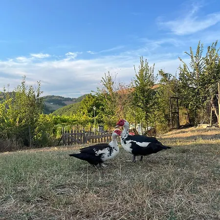 Alloggio per agriturismo La Valle Dimenticata Wellness *