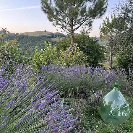 La Valle Dimenticata