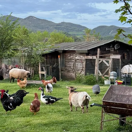 La Valle Dimenticata Wellness Alloggio per agriturismo Urbania