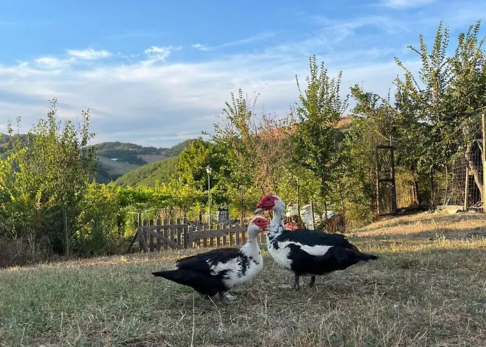 Alloggio per agriturismo La Valle Dimenticata Wellness *